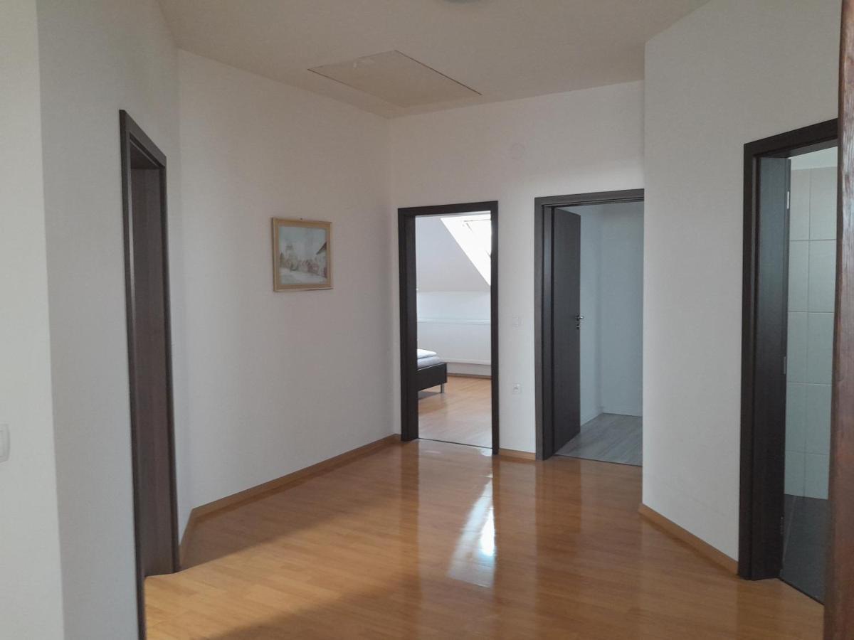 Ubytovani Hana Foltyn Pavlov Exterior foto